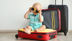 Baby Travel Gear